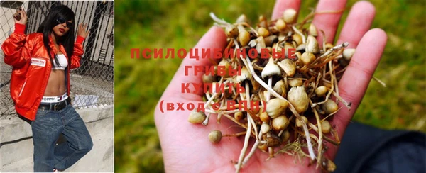 мдпв Верхний Тагил